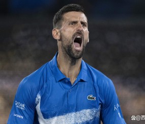 爱游戏- 德约科维奇24个大满贯明细 